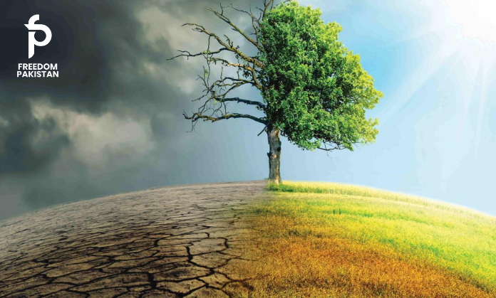 Climate