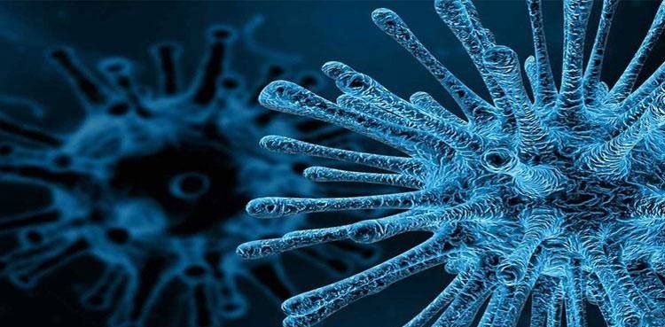 Poliovirus