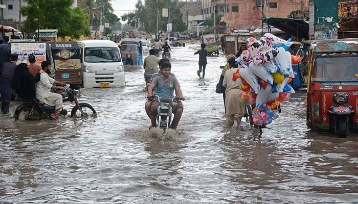 rains lash