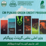 Green Credit